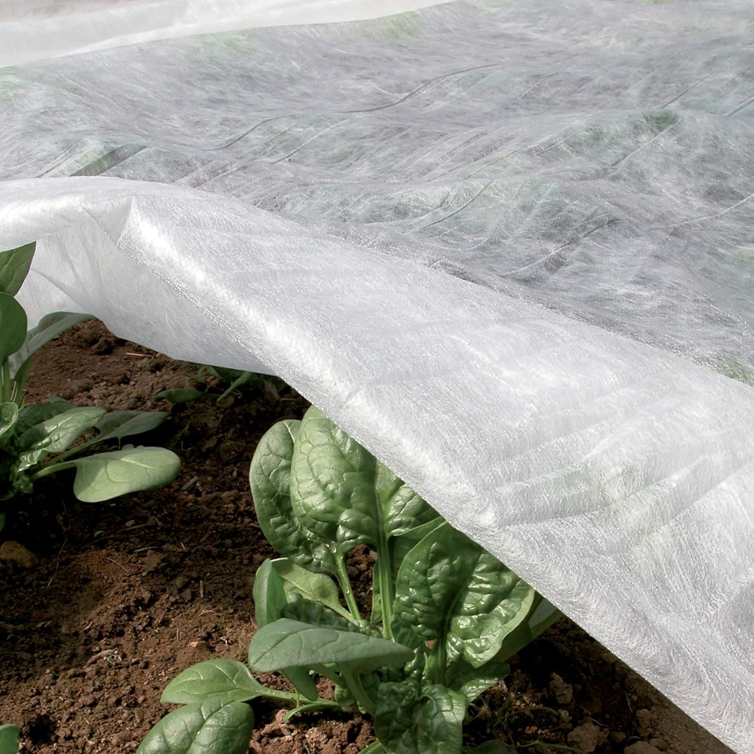 Filets anti-insectes