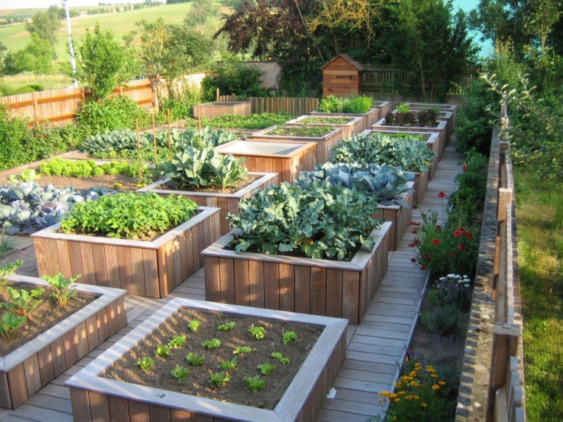Potager surélevé : jardiner à hauteur d’homme, avec confort et plaisir