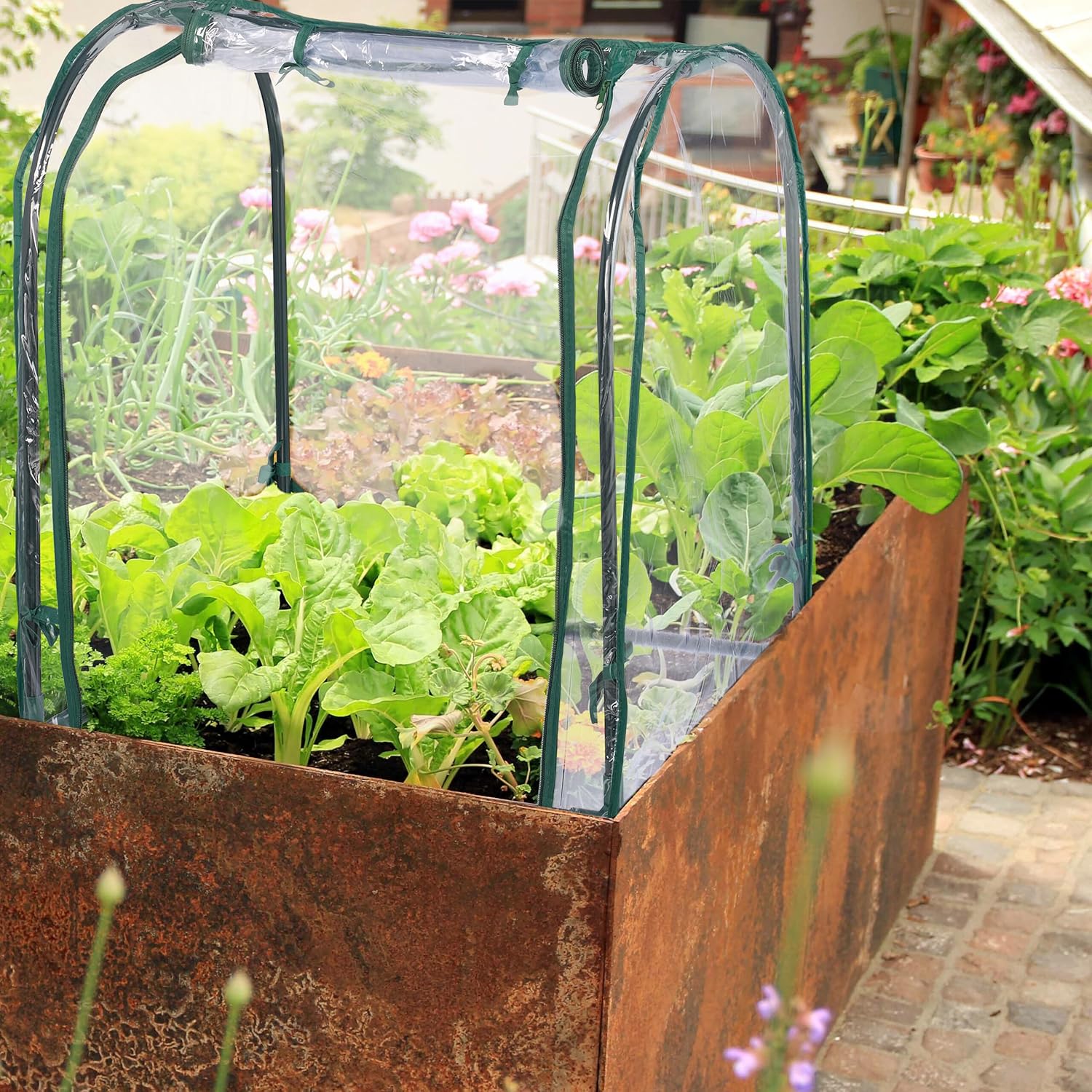 Mini-serre de balcon