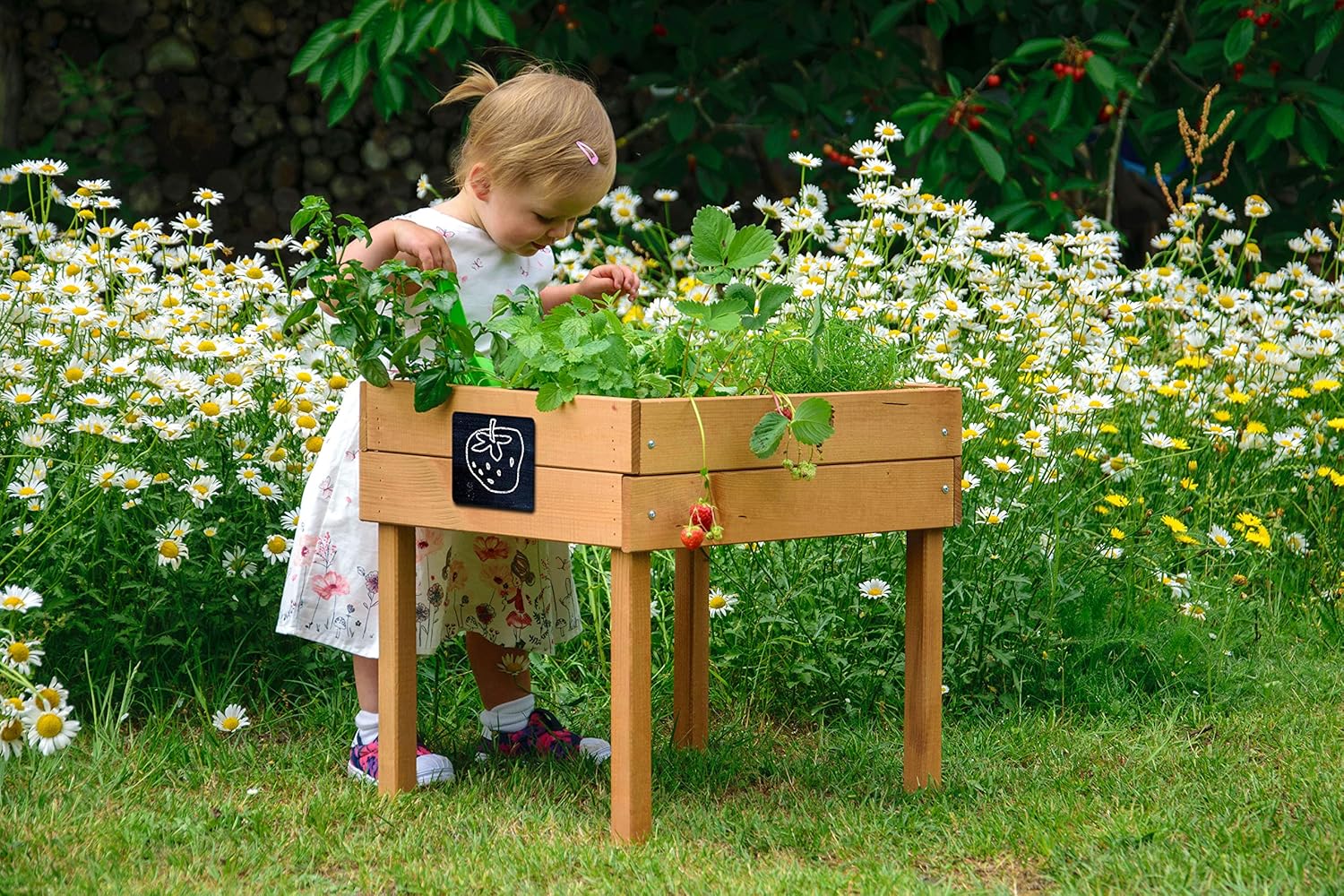 Carré Potager surélevé pour Enfants